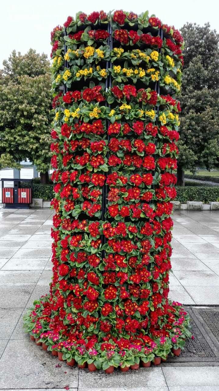 景观花柱(图6)