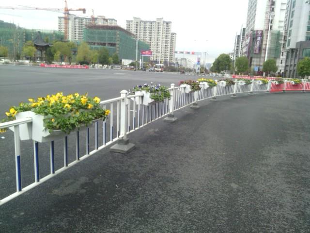 黄山护栏绿化项目(图1)