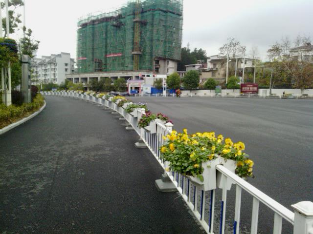 黄山护栏绿化项目(图3)