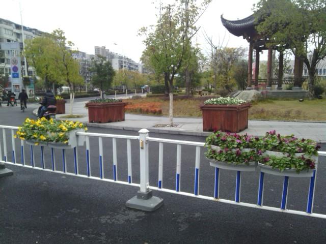 黄山护栏绿化项目(图7)