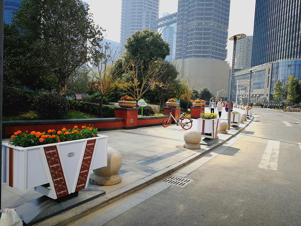 2017年绍兴马拉松赛道绿化项目(图5)