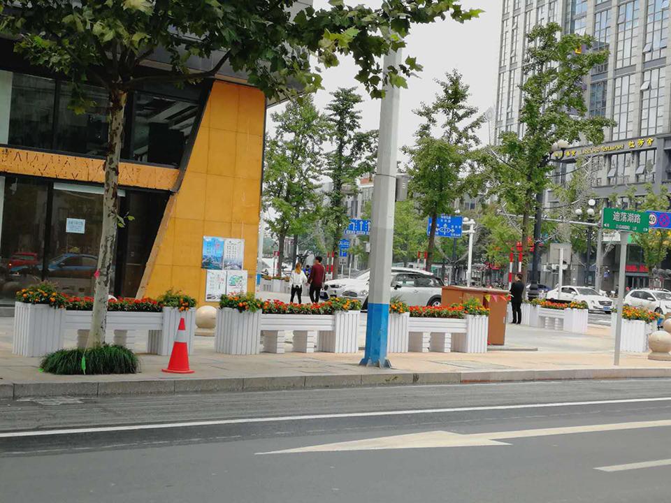 2017年绍兴马拉松赛道绿化项目(图7)