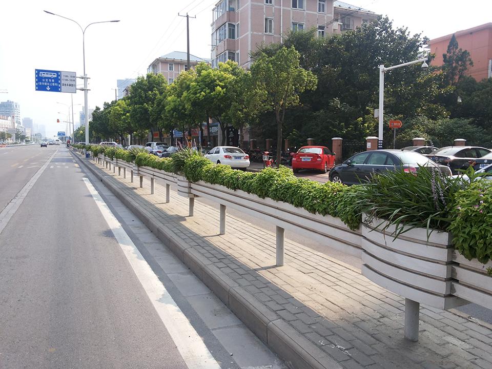南通道路隔离绿化项目(图1)