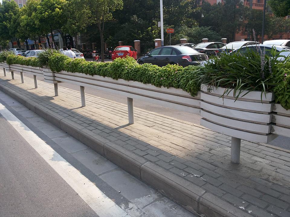 南通道路隔离绿化项目(图2)