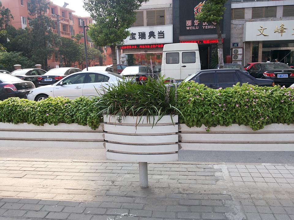 南通道路隔离绿化项目(图3)