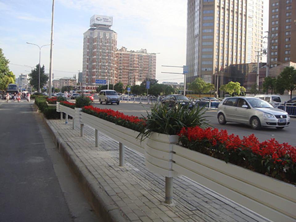 南通道路隔离绿化项目(图4)