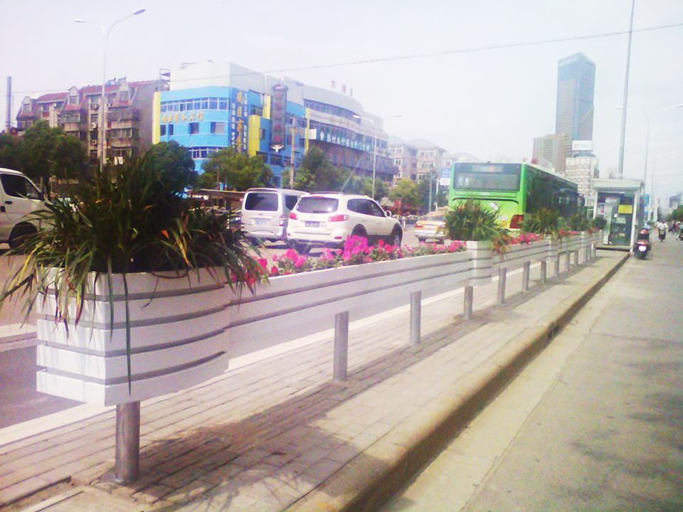 南通道路隔离绿化项目(图6)
