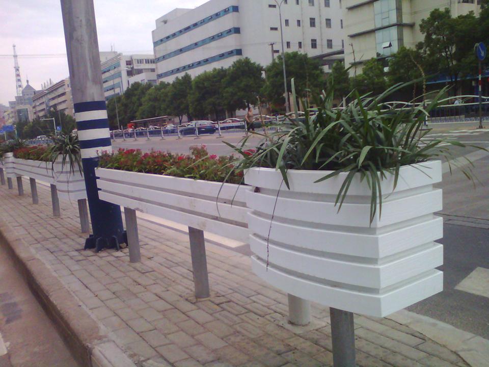 南通道路隔离绿化项目(图7)