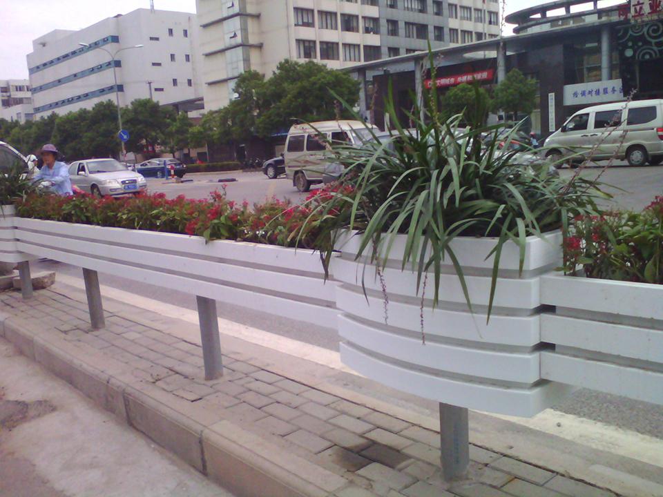 南通道路隔离绿化项目(图8)