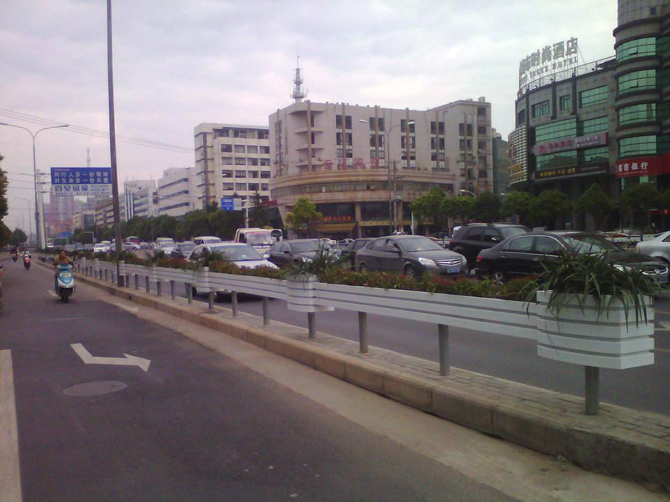 南通道路隔离绿化项目(图9)