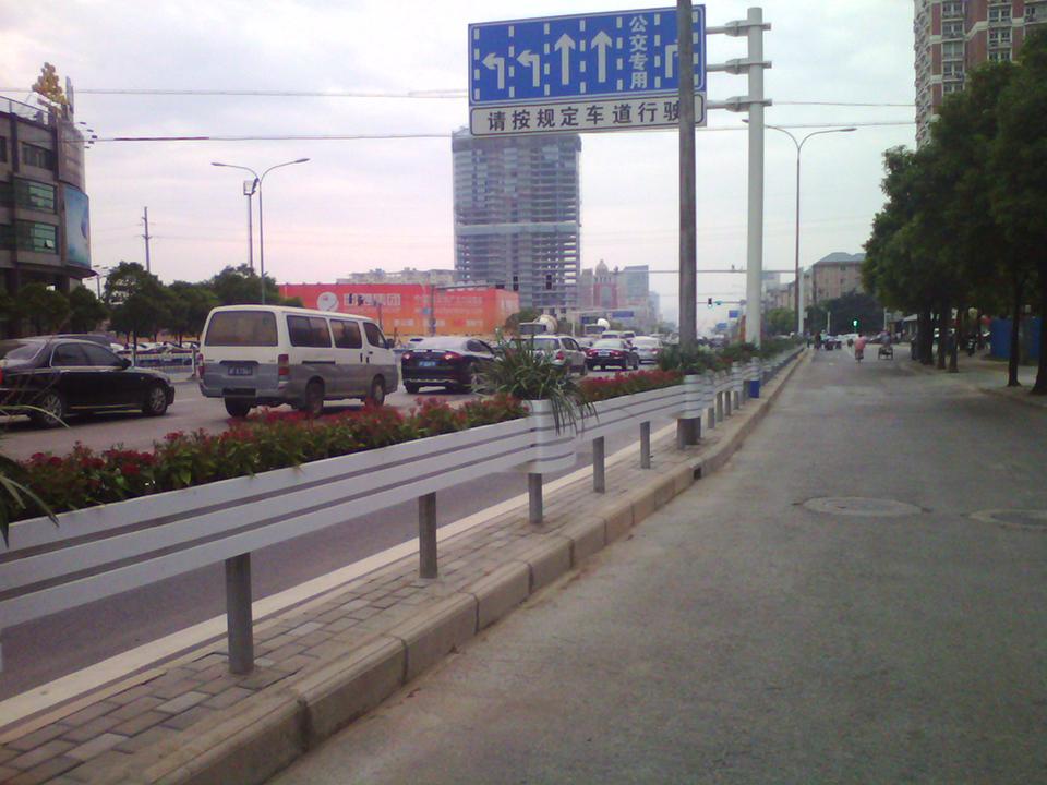 南通道路隔离绿化项目(图10)