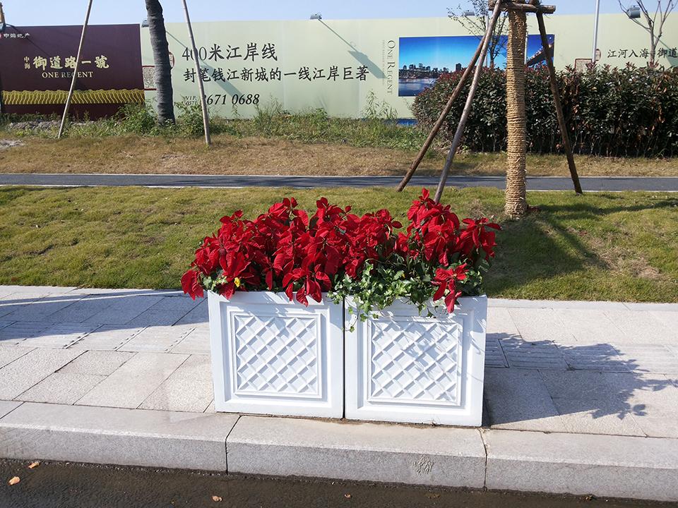 杭州御道街一号隔离绿化项目(图3)