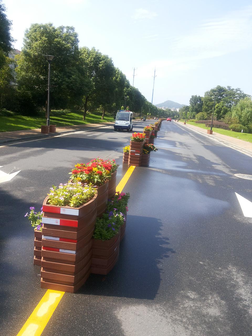 杭州西溪山庄道路隔离绿化项目(图3)