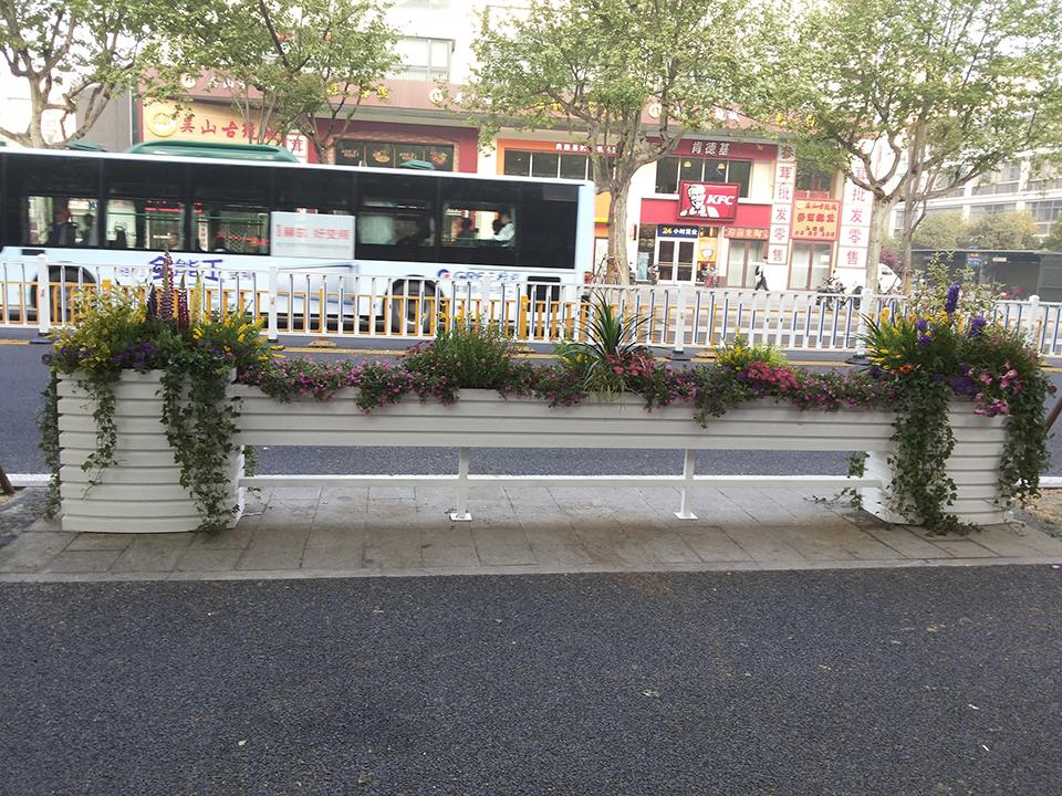 杭州延安南路道路隔离绿化(图1)