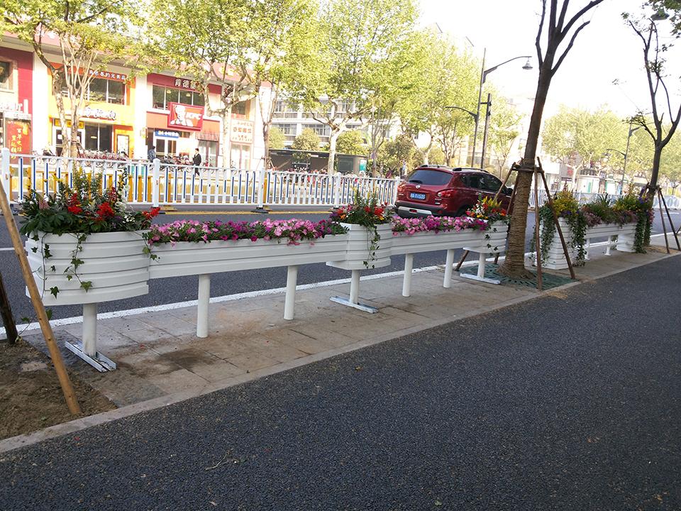 杭州延安南路道路隔离绿化(图4)