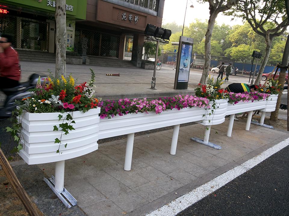 杭州延安南路道路隔离绿化(图5)