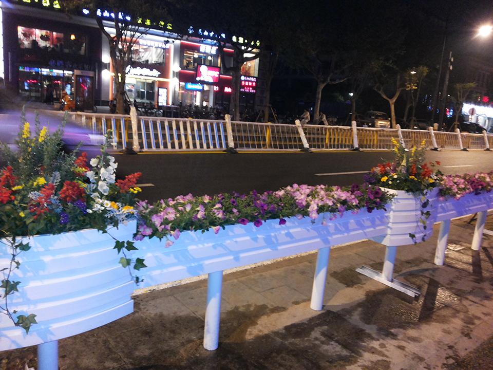 杭州延安南路道路隔离绿化(图6)