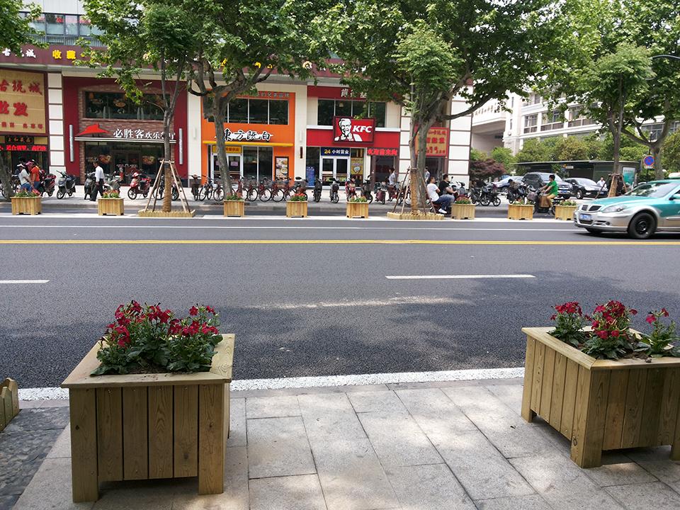 杭州延安南路道路隔离绿化(图7)
