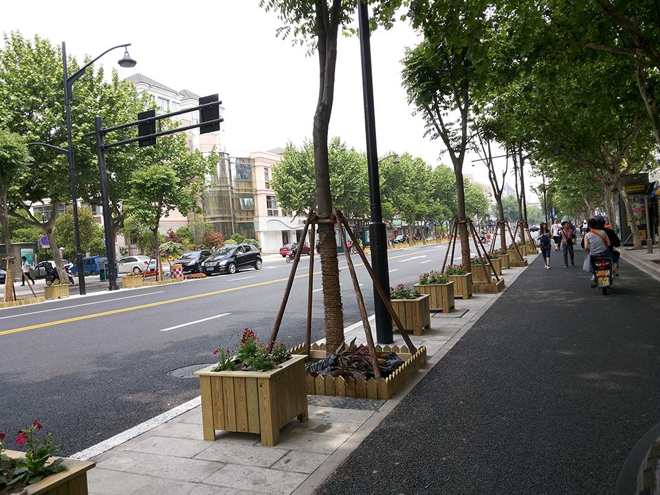 杭州延安南路道路隔离绿化(图8)