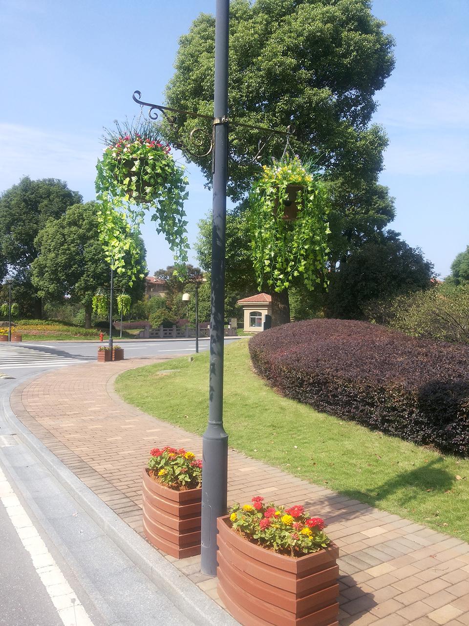 杭州西溪山庄道路隔离绿化项目(图6)