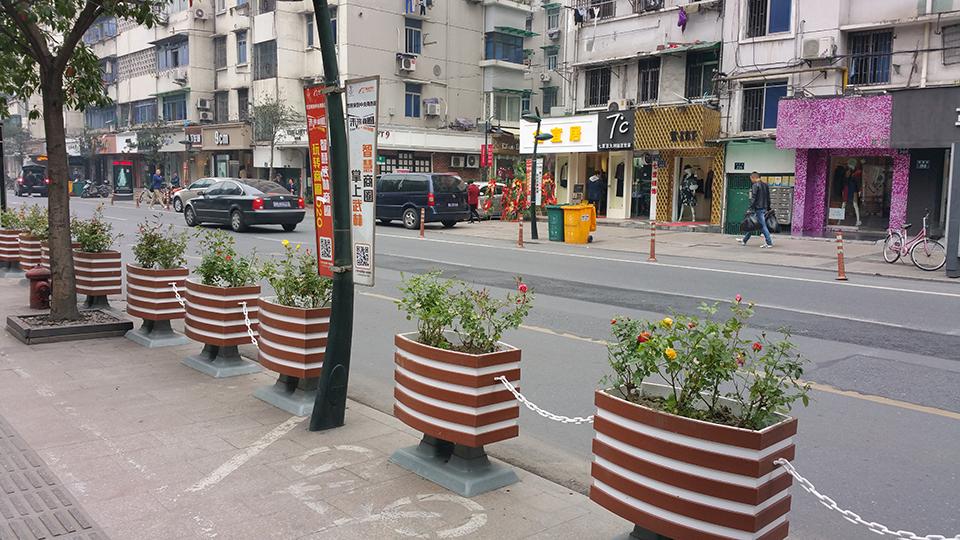 杭州武林路道路隔离绿化(图1)