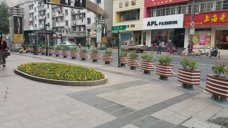 杭州武林路道路隔离绿化(图2)