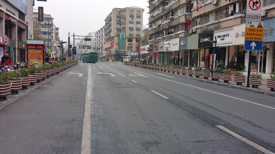 杭州武林路道路隔离绿化(图4)