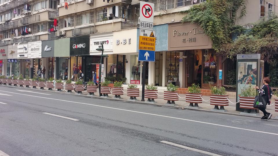 杭州武林路道路隔离绿化(图5)