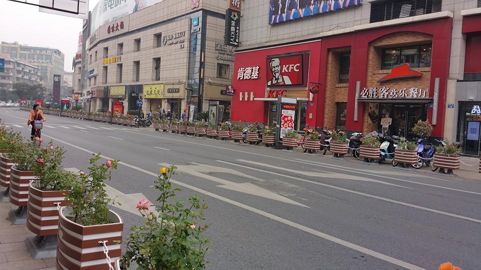杭州武林路道路隔离绿化(图6)
