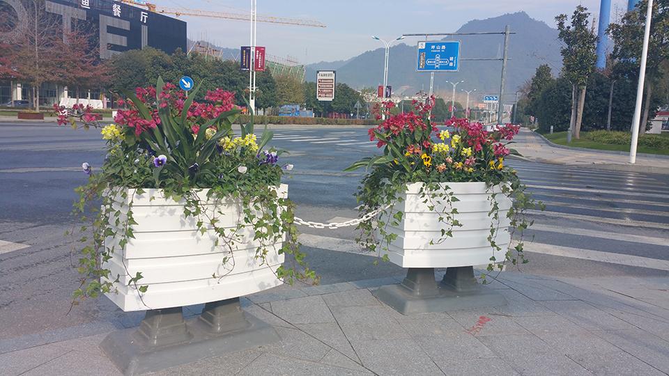 杭州千岛湖道路隔离绿化(图6)