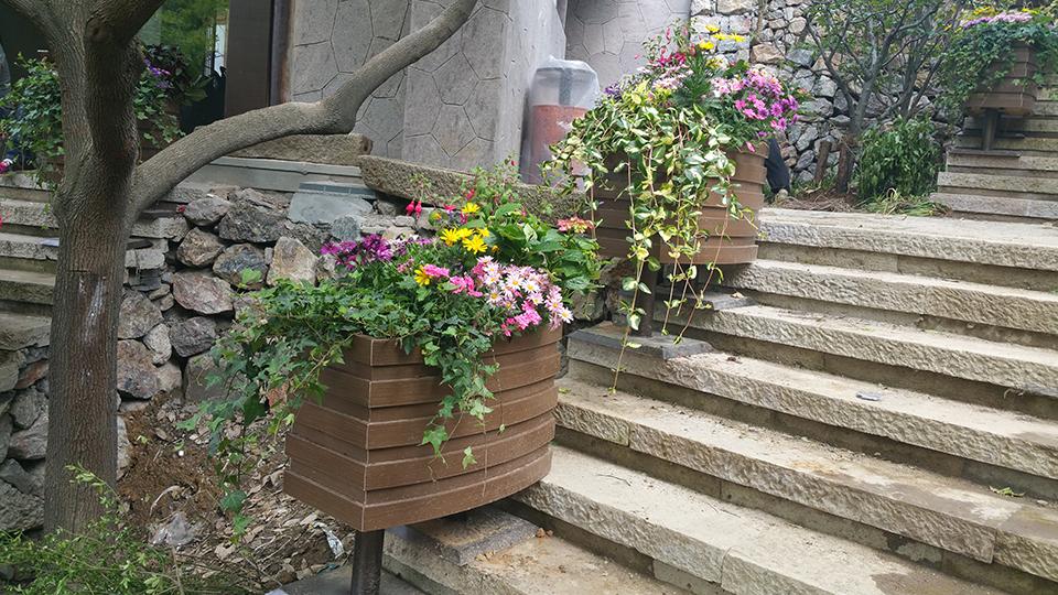 杭州龙井山园道路隔离绿化(图1)