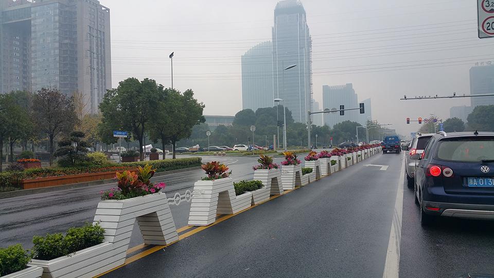 绍兴道路隔离绿化项目(图1)