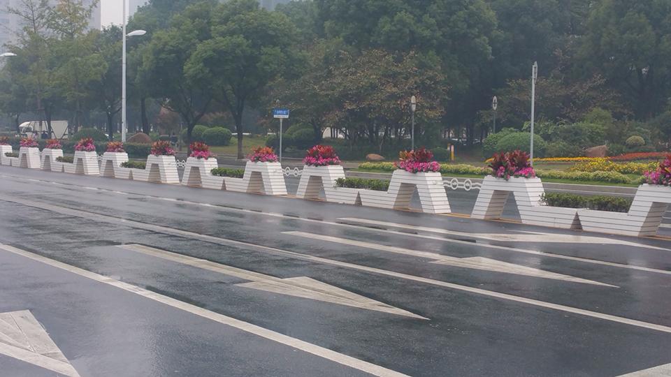 绍兴道路隔离绿化项目(图3)