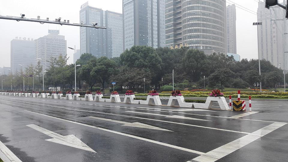 绍兴道路隔离绿化项目(图4)