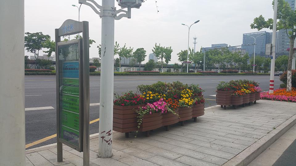 绍兴道路隔离绿化项目(图6)
