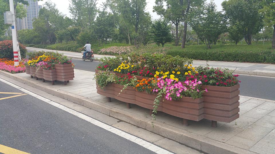 绍兴道路隔离绿化项目(图7)