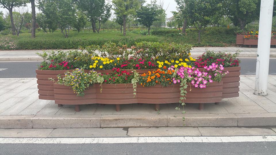 绍兴道路隔离绿化项目(图8)