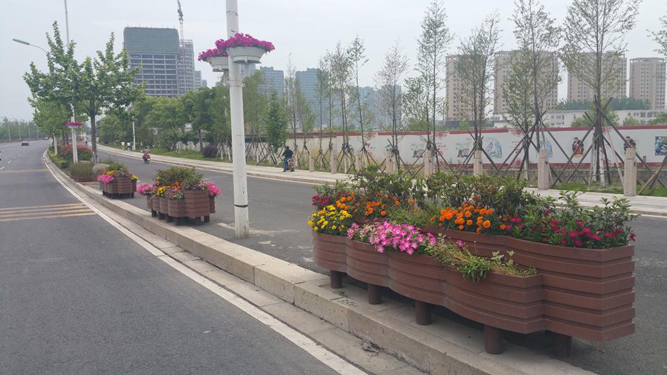 绍兴道路隔离绿化项目(图9)
