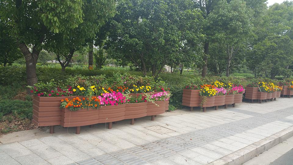 绍兴道路隔离绿化项目(图10)