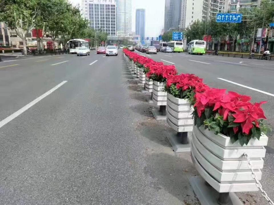 其他项目(图11)
