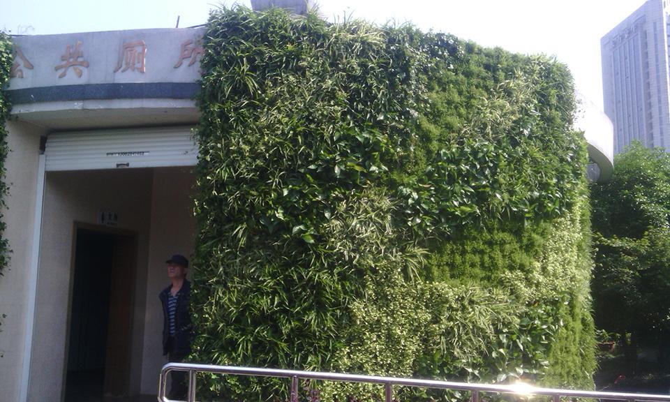 杭州城东公园公共厕所绿化(图1)