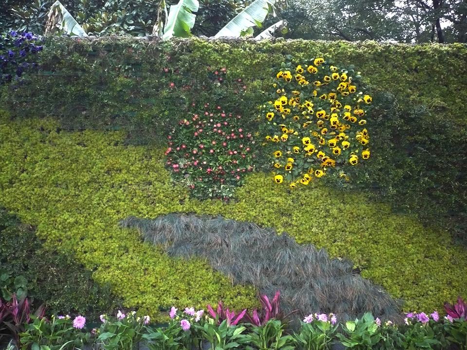 宁波江东区植物墙(图4)