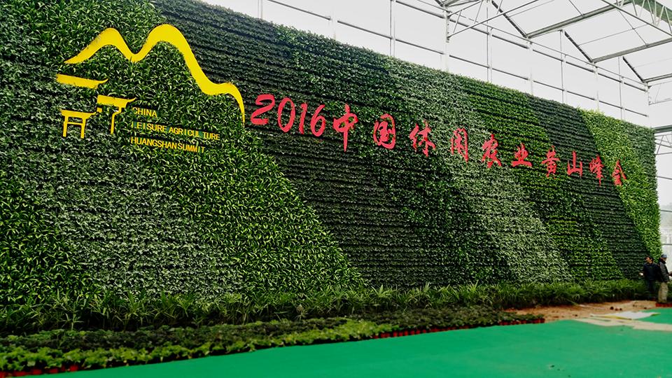 黄山农业峰会项目(图2)