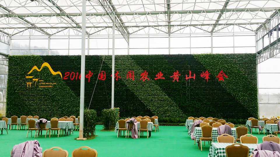 黄山农业峰会项目(图3)