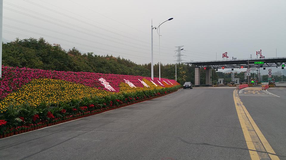 杭州桐庐绿化墙(图1)