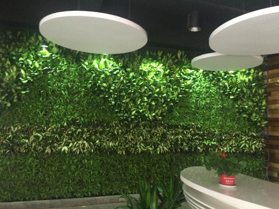 杭州乔司服装厂植物墙(图1)