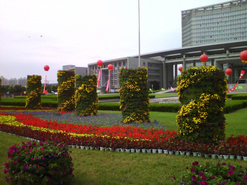 南通绿化项目(图1)