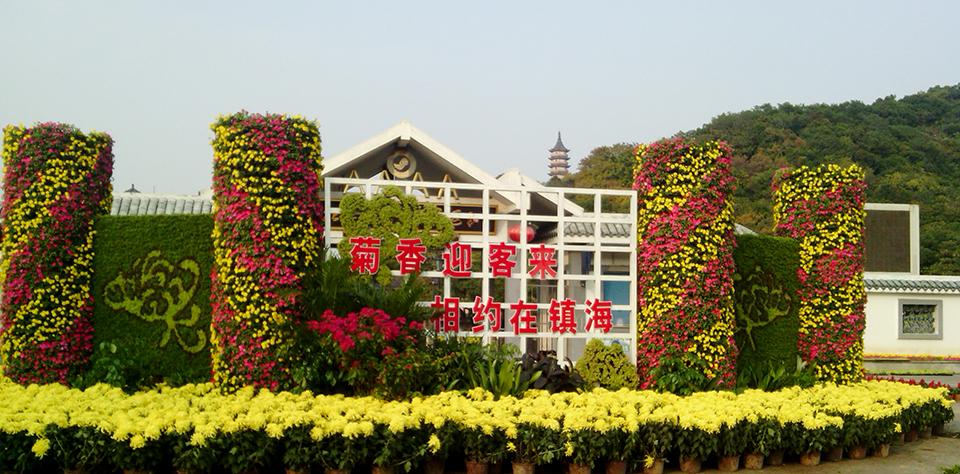 宁波镇海菊展项目(图1)