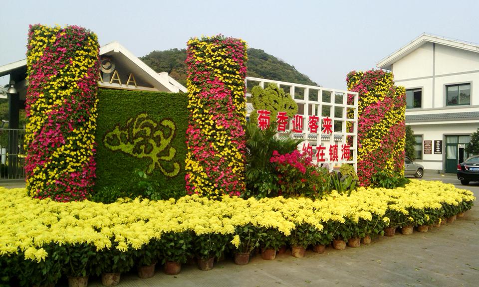 宁波镇海菊展项目(图2)