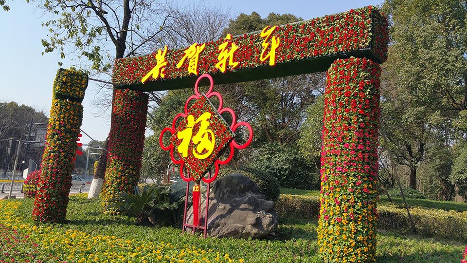 衢州绿化项目(图8)
